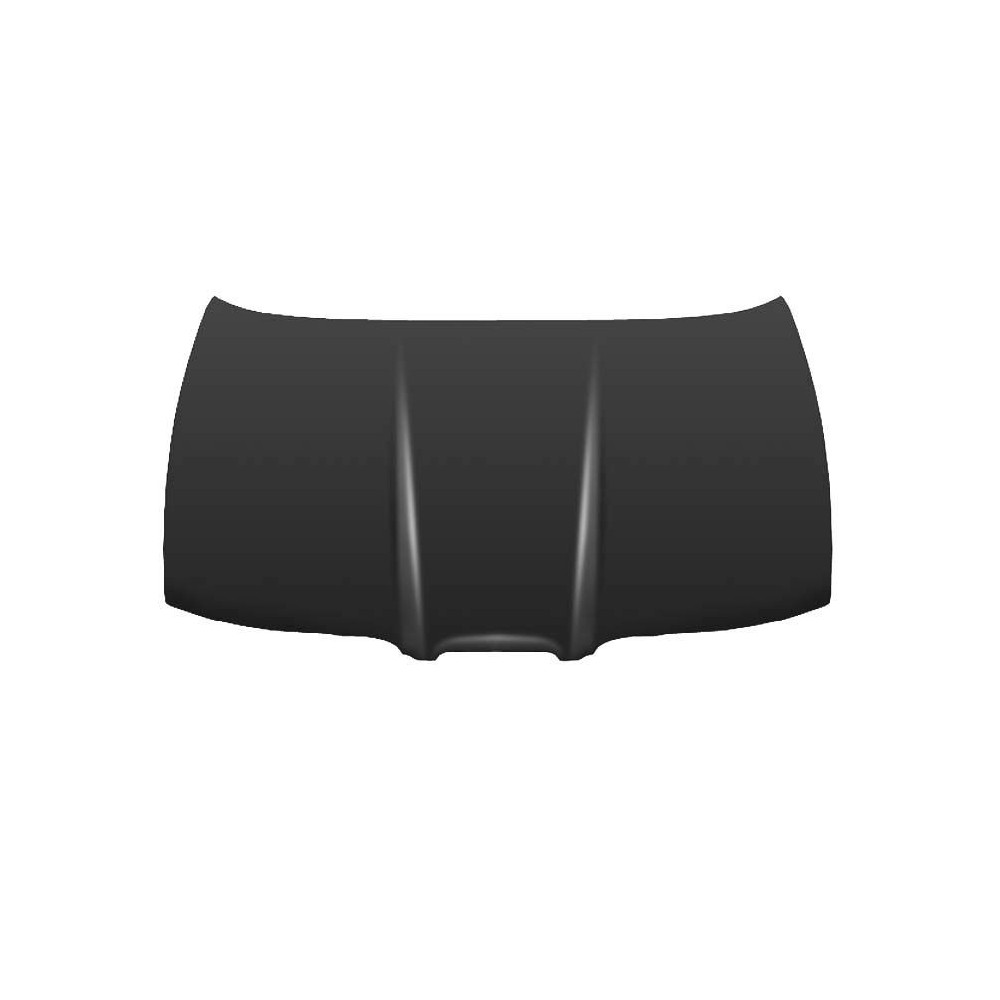 Achetez CAPOT SEAT SEAT TOLEDO/LEON 99- au meilleur prix sur todocarrocería.com